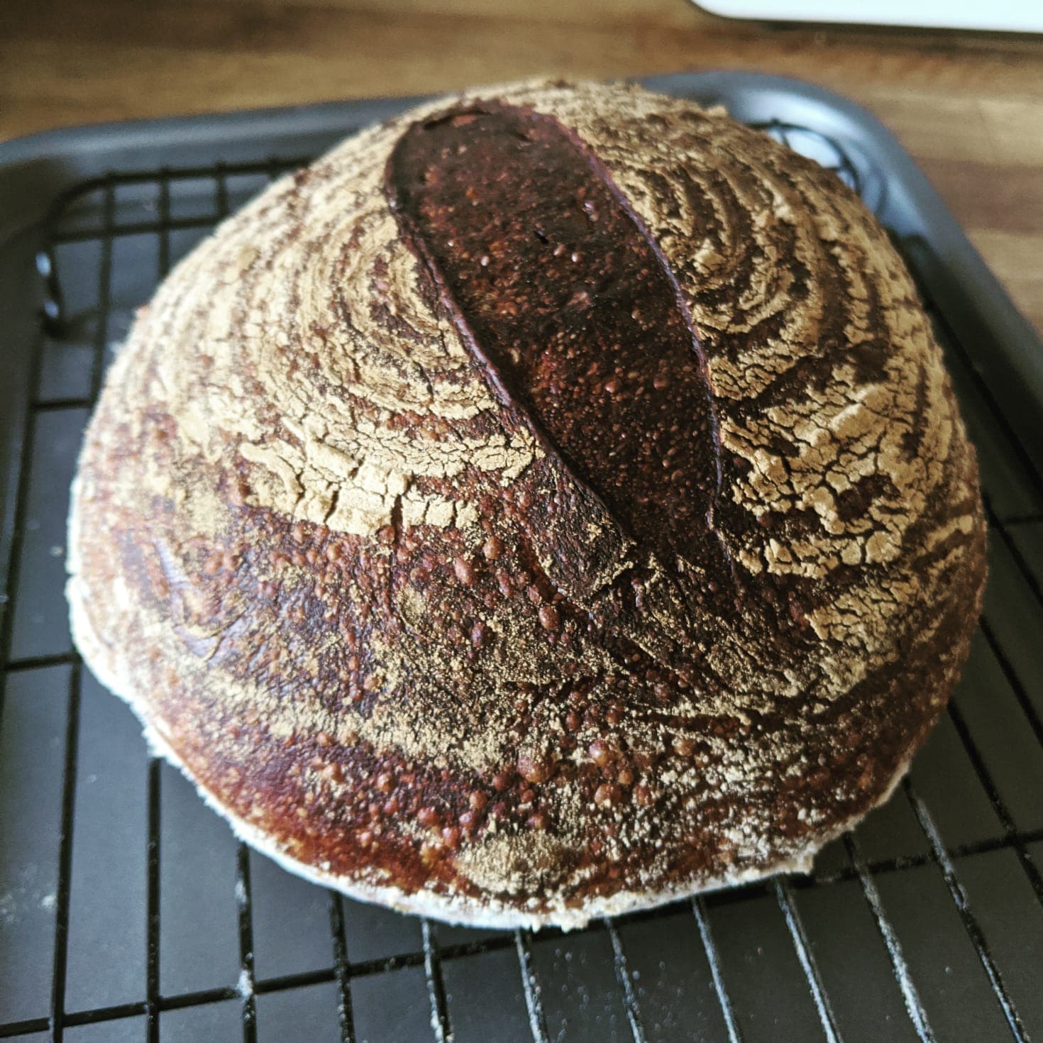 Basic Sourdough Kit